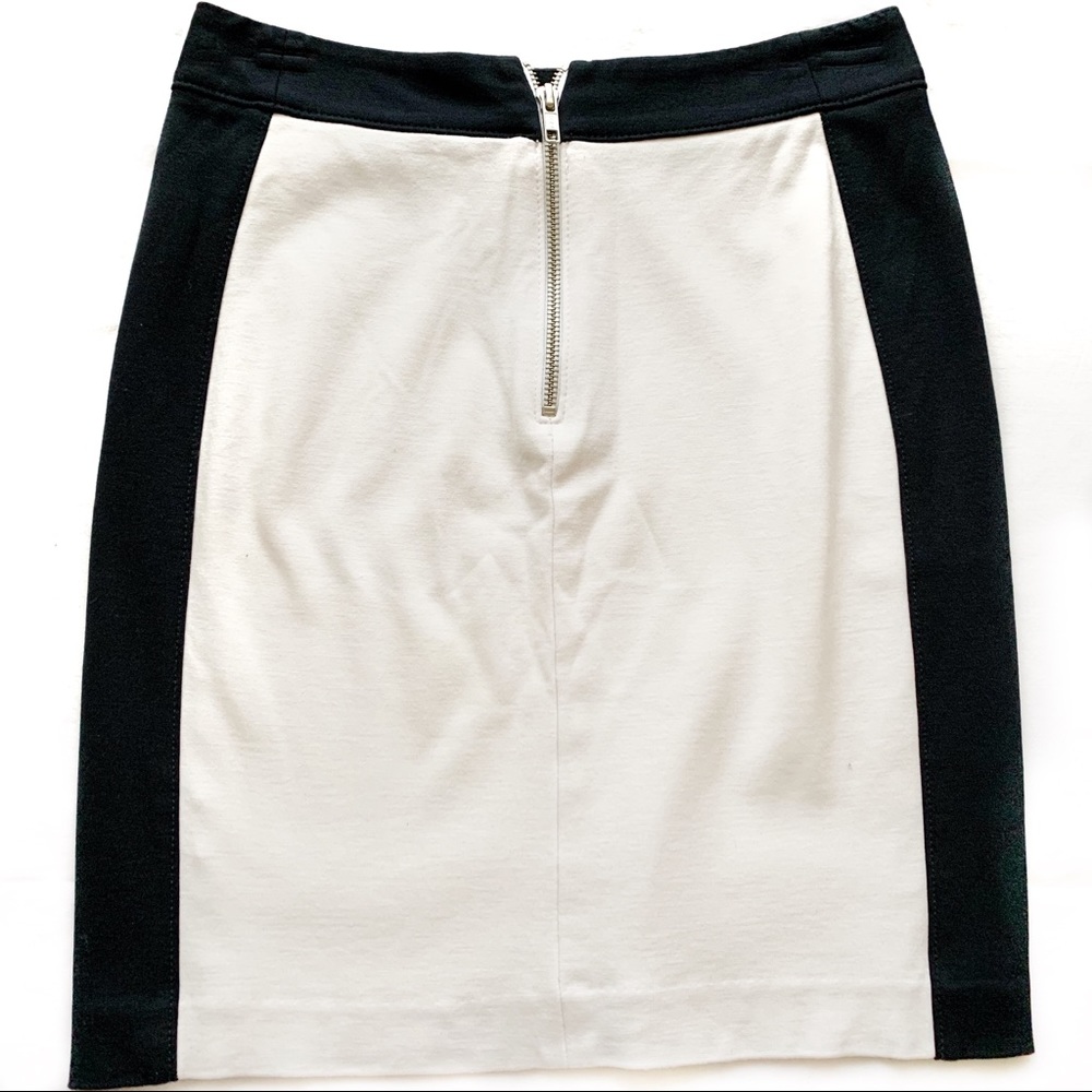 Banana Republic Skirt